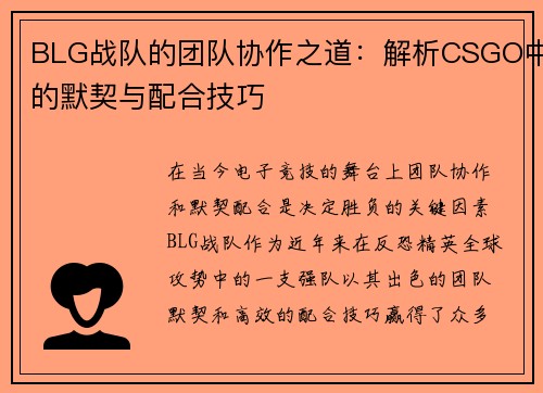 BLG战队的团队协作之道：解析CSGO中的默契与配合技巧